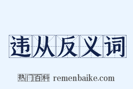 违从反义词是什么意思的图片